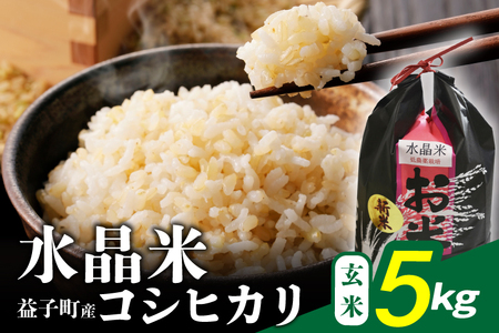 瀬尾糀店 水晶米 コシヒカリ 玄米 5kg 益子町産 AK014