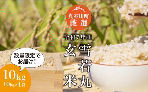 
                  ★数量限定★ ＜令和7年産 雪若丸＞【玄米】 10kg （10kg×1袋）＜配送時期指定可＞　真室川町
                