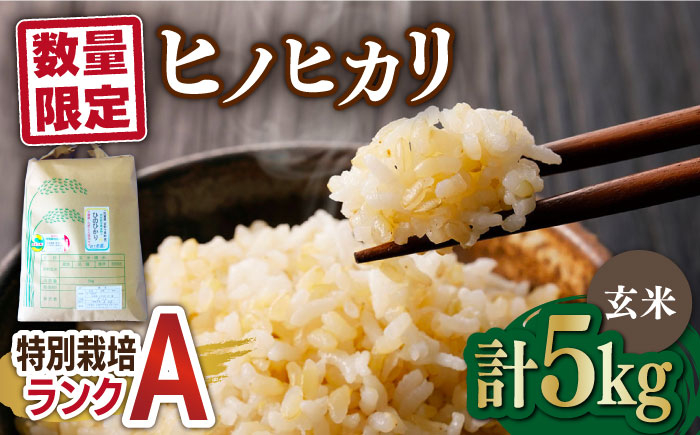 
                  【数量限定｜R7年産】佐賀県産 特別栽培米Aランク　ヒノヒカリ<玄米>5kg 吉野ヶ里町/種まきの会[FBO014] 
                