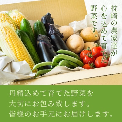 鹿児島県枕崎産旬の野菜の詰め合わせ(6～8種類) 野菜セット 国産 九州 厳選 A3-291【配送不可地域：離島】