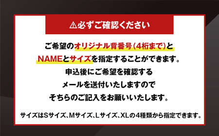 2023-2024シーズン オーセンティックユニフォーム・アウェー・オリジナル背番号＆ＮＡＭＥ