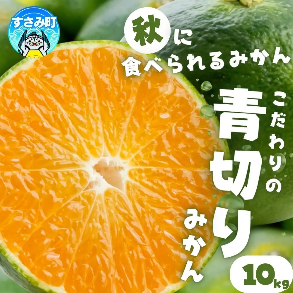 【2026年9月下旬~順次発送】青切りみかん(約10kg) サイズ混合（お届け日指定不可）和歌山県産【nuk108F】