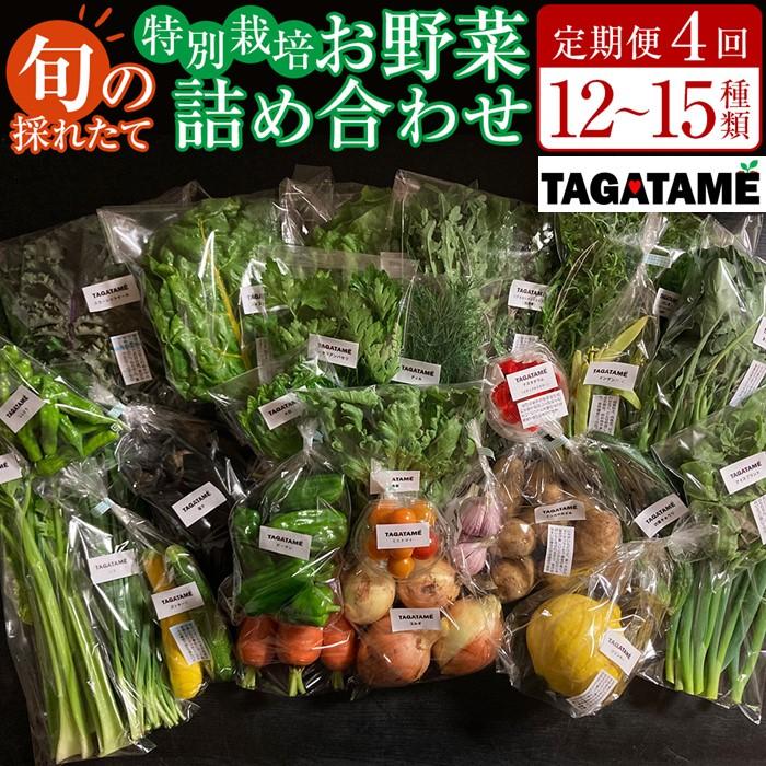 【ふるさと納税】【定期便全4回】旬の採れたて 12～15種類お野菜詰め合わせセット TAGATAME タガタメ【野菜 特別栽培 大容量 有機野菜 農薬不使用 旬 採れたて 香川県 さぬき市】