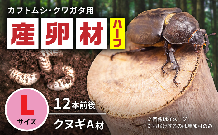 
            オリジナル産卵材 Lサイズ ハーフ カブトムシ クワガタ クヌギA材 【ふるさと昆虫】 [YDV022]
          