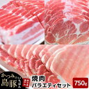 【ふるさと納税】かつみの島豚いちばん焼肉バラエティセット750g（250g×3パック） | 瀬戸内 瀬戸内町 奄美 奄美大島 鹿児島 鹿児島県 九州 お取り寄せ 肉 豚肉 豚 焼肉 焼き肉 ご当地 取り寄せ 送料無料