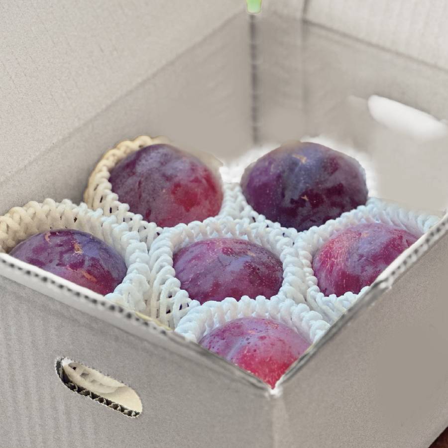 ＜Bonchi＞貴陽 1kg(6~8個入)