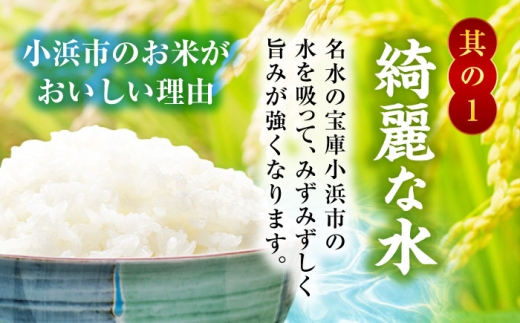 【11月発送】  福井県産 いちほまれ 精米 (白米) 10kg 福井自慢のブランド米 一等級　福井県米 / コシヒカリ発祥 ブランド 特A常連 小浜市 / 若狭ふれあい市場 [BFEL046]