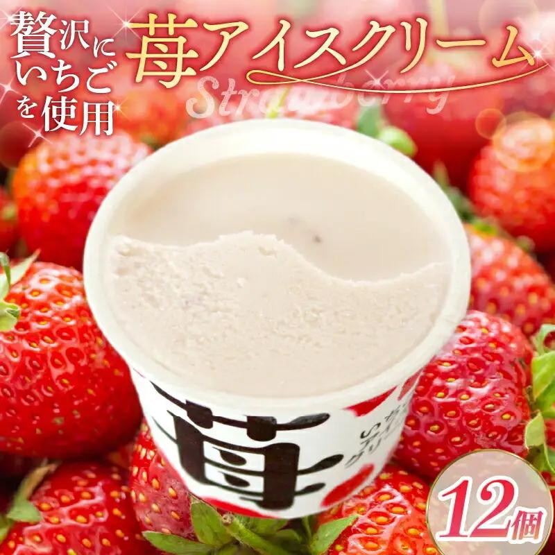【アイス】苺アイスクリーム12個