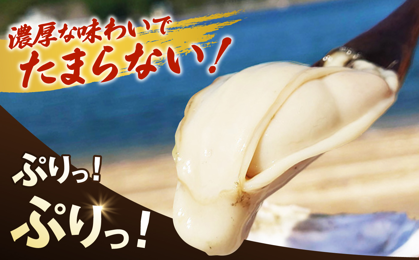特選 牡蠣三昧！【瞬間冷凍】広島牡蠣 むき身 生食用 60g×10袋 大容量 カキ かき 料理 簡単 魚介類 海鮮 ギフト 広島県産 江田島市/株式会社門林水産 [XAO061]