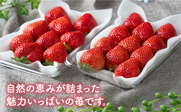 【全3回定期便】福岡産【冬】あまおう2パック＜南国フルーツ株式会社＞那珂川市 [GCD044]