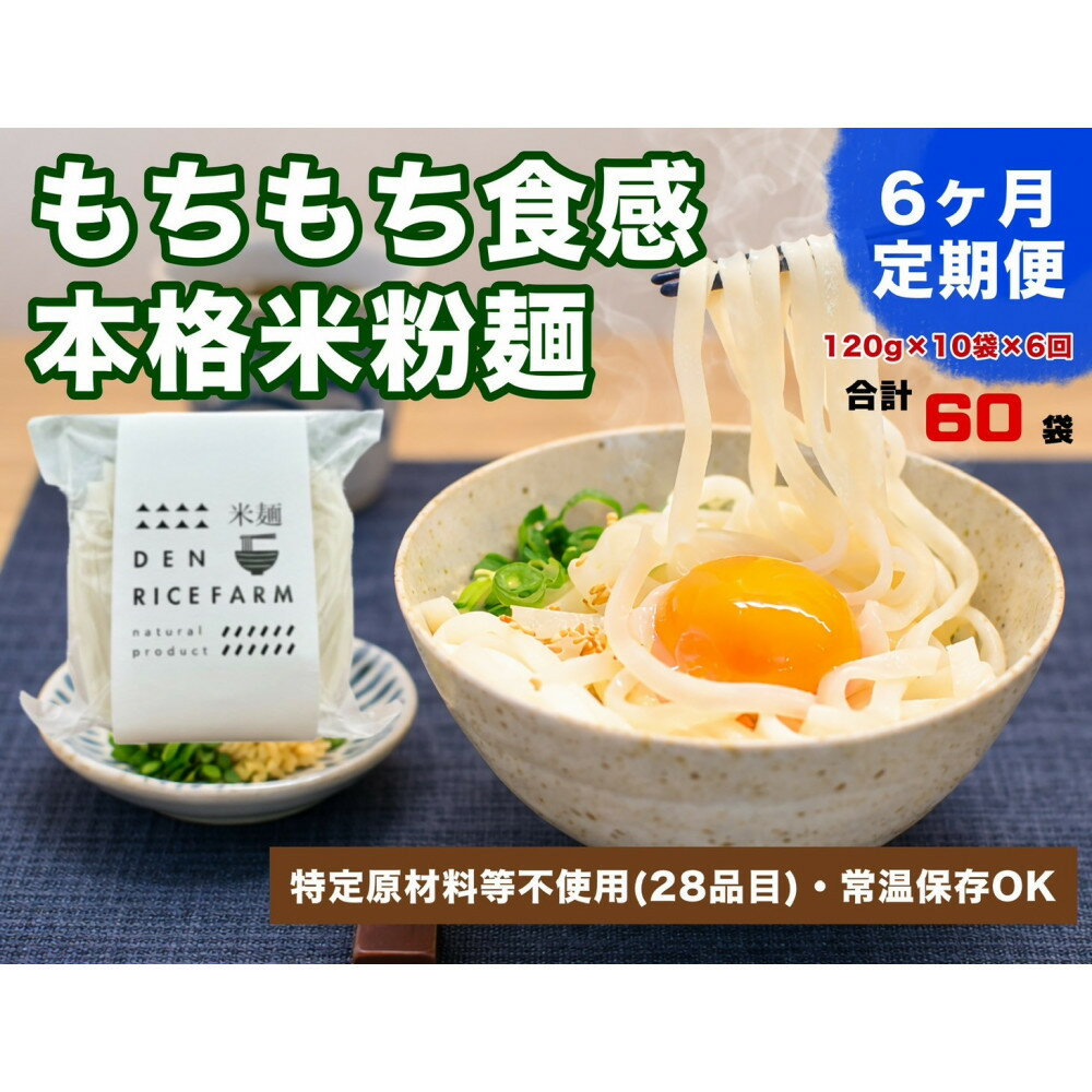 【ふるさと納税】【定期便】【6ヶ月連続お届け】グルテンフリー 無添加 米麺 120g 10個セット（白米麺10個）｜米粉 うどん 焼きそば パスタ 麺