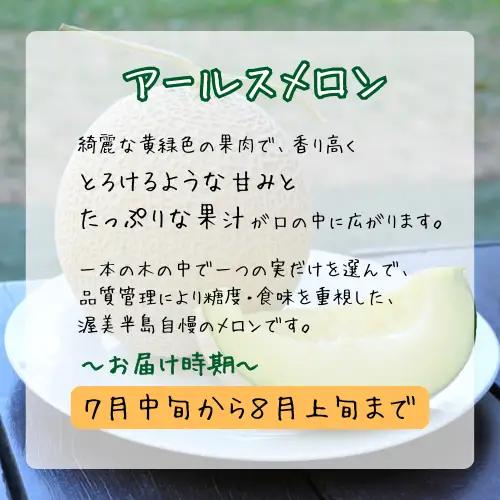 青果市場の野菜ソムリエ厳選 ジューシー メロン 3兄弟 定期便 全3回