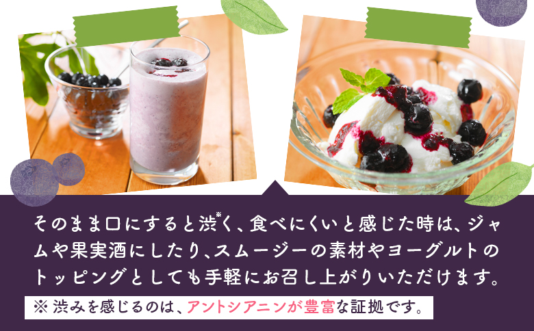 ふるさと納税 北海道 北海道産 留寿都 留寿都村 ルスツ ルスツリゾート ルスツファーム ルスツファーム産 アロニアベリー アロニア ベリー 1kg 1キログラム 冷凍 冷凍保存 スーパーフード アン