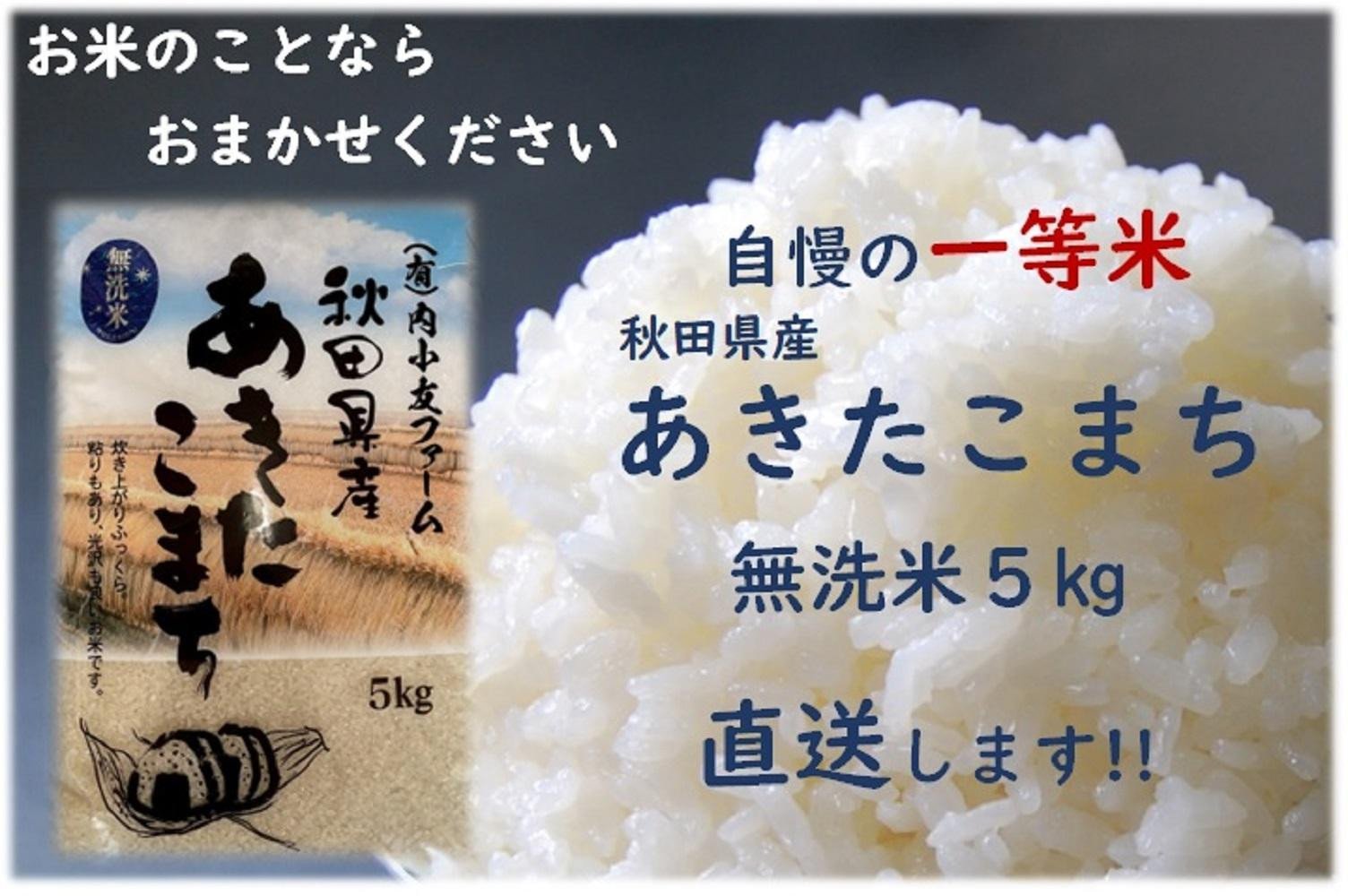 
            令和6年産 秋田県産あきたこまち 一等米 農家直送 無洗米5kg　内小友ファーム
          