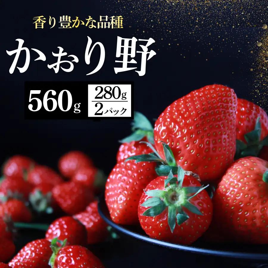 いちご【2027年発送】かおり野 2パック×280g 完熟いちご