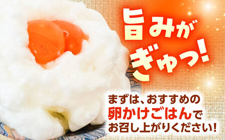 卵 中玉パック 30個 (25個+割れ保証5個) [AZAQ001] 卵 たまご