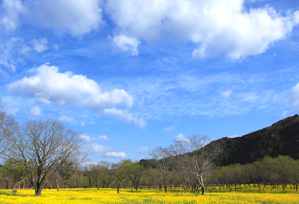 高知県四万十市ANAトラベラーズホテル割引クーポン4,500点分