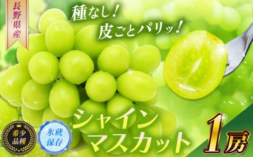 
            【2025年 先行予約】 【甘みが増す完熟 氷蔵保存】シャインマスカット１房【11月上旬頃より発送予定】| シャイン ぶどう 葡萄 ブドウ くだもの 果物 フルーツ マスカット 氷蔵保存 先行 先行予約 長野県 塩尻市
          