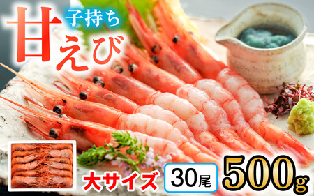 【年内配送】子持ち甘えび 約30尾 ×1箱（500g） [BFAA049] 【配送不可地域：北海道・沖縄・離島】 