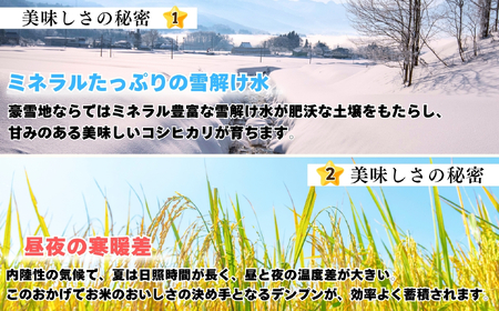 【先行予約】 令和７年産 コシヒカリ 玄米 10㎏  ＜2025年9月中旬より発送＞ 奥信濃飯山～木内ファームのお米～(7-11B) 長野県 飯山市 おすすめ ランキング おいしい 高評価 大人気 ギ
