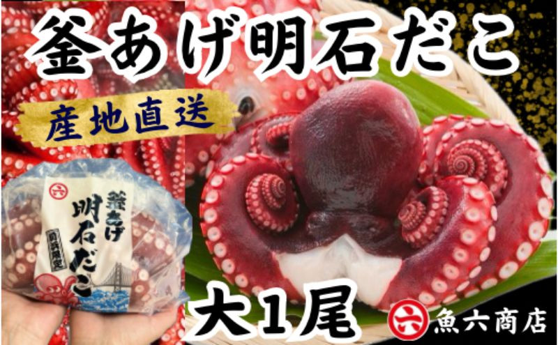 
釜あげ明石だこ 大 1尾
