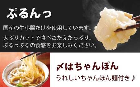 【定期便 年12回】 やまや 博多もつ鍋 あごだし醤油味 1～2人前