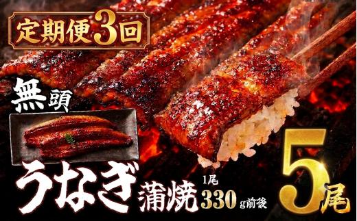 うなぎ 訳あり 5尾 3回 定期便 約4.95kg 無頭 | うなぎ蒲焼 鰻 ウナギ unagi 特大 蒲焼き 蒲焼 かば焼き 人気 肉厚 ふっくら 小分け 不揃い 規格外 家庭用 真空パック 個包装 冷凍 福岡県 須恵町 サンフーズ S10200603
