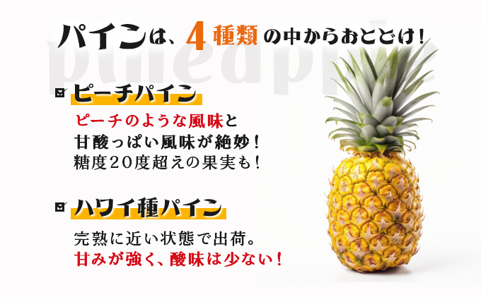 2024年 先行予約 パイン マンゴー セット トロピカルフルーツセット ますみ農園 果物