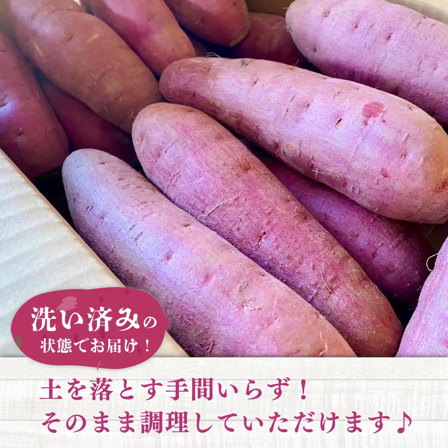【先行予約】【2026年12月上旬より順次発送】さつまいも 約5kg(平均17本から30本)/ サツマイモ 芋 焼き芋 熊本県 菊陽町【株式会社さかもと農園】[BHDL002]