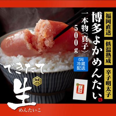 ふるさと納税 遠賀町 無冷凍 辛子明太子 博多よかめんたい 生 贈答用 500g 1本もの(遠賀町)