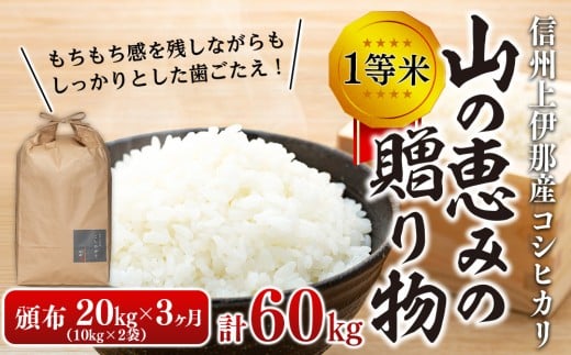 【令和7年産】３ヶ月連続お届け 定期便 信州産 コシヒカリ 1等米 「山の恵みの贈り物」 20kg（5kg×4袋）　計60kg （ お米 コシヒカリ 白米 搗きたて米 低温貯蔵米 食品 ) 長野県　箕輪町　[№5675-1099]