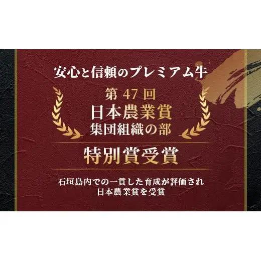 石垣牛 ハンバーグ 100g10個