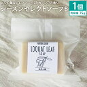 【ふるさと納税】ビワの葉&レモンマートルとカッシアの香り 75g シーズンセレクトソープB ナチュラルソープ 石けん 石鹸 せっけん 固形石けん お風呂 バス 洗顔 体洗い 洗顔ソープ 低温製法 送料無料