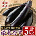 【ふるさと納税】＜期間限定＞農家直送！松木なす(5kg)鹿児島県 指宿市 なすび 茄子 種 なす 天ぷら 漬物 煮物 焼き物 炒め物【松木農園】