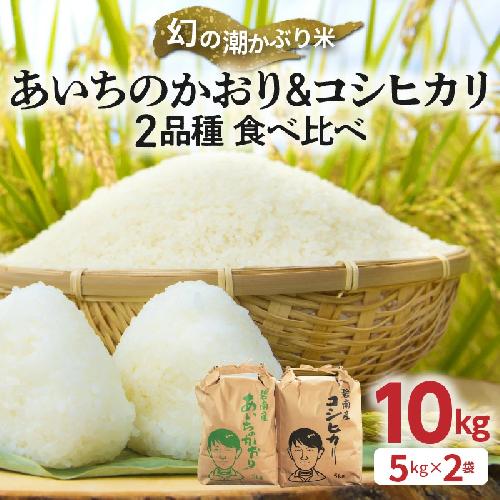 【幻の潮かぶり米】令和5年産新米 あいちのかおり&コシヒカリ2品種 食べ比べ10kg（5kg×2袋） H073-003