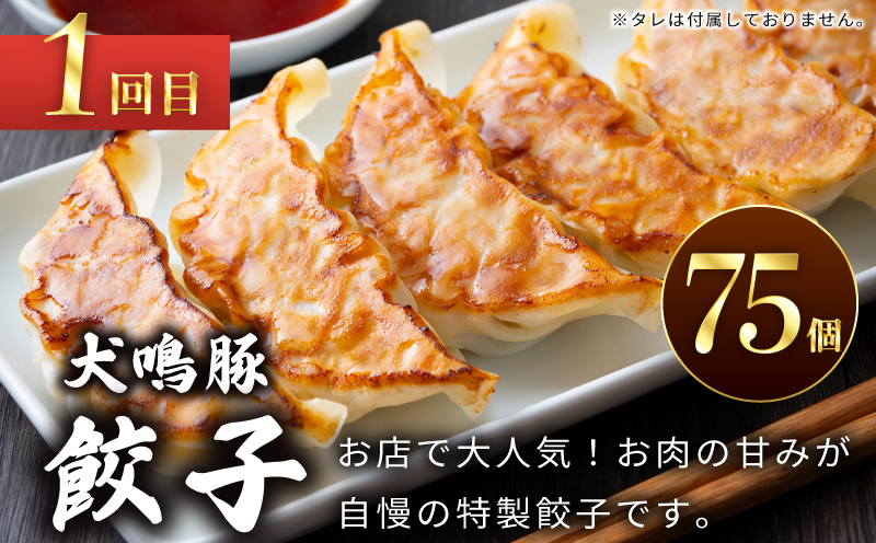 【泉佐野ブランド豚】犬鳴豚餃子 75個／手作りプレミアムハンバーグ（10個入り） 全2回【国産 豚肉 ぶたにく 定期便 食べ比べ 犬鳴ポーク 焼くだけ 人気 総菜 冷凍】 099Z558