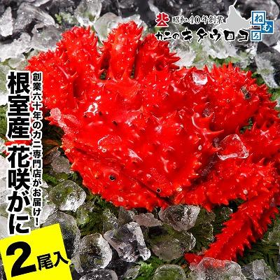 ふるさと納税 根室市 【北海道根室産】花咲がに550g〜650g前後×2尾 A-25026