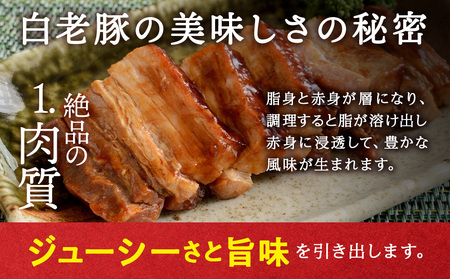 北海道産 白老豚 バラ ブロック 600g×5パック 豚 豚肉 白老 北海道 焼肉 BV075