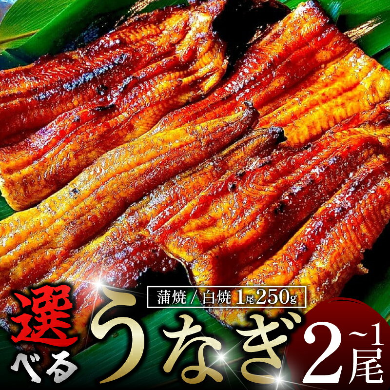 【ふるさと納税】 うなぎ 鰻 蒲焼 白焼 選べる 1尾 2尾 (1尾250g) たれ付き あら塩付き 炭火焼き 秘伝のタレ 高知県産あら塩 土用の丑 丑の日 国産 ウナギ 簡単調理 うな重 うな丼 ひつまぶし 蒲焼き 白焼き ギフト プレゼント 贈答 国産 冷凍 送料無料 吉野川市 徳島県