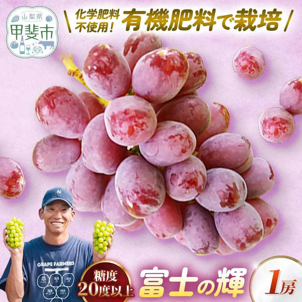 山梨県甲斐市産 富士の輝 1房 山梨県産ぶどう ぶどう