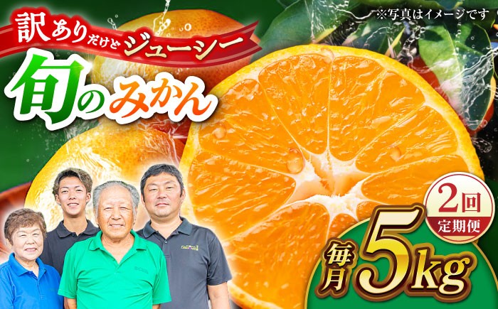 
                  訳あり みかん 【先行予約】【2回定期便】 家庭用 みかん 約5kg 詰め合わせ 合同会社 社方園 | ミカン 蜜柑 柑橘 フルーツ 果物 定期便 2回 熊本県 山鹿市 [ZBZ034]
                