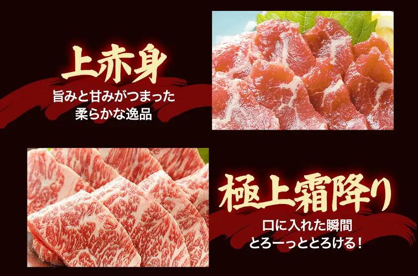 馬肉 馬刺し 自家牧場産 馬刺し極上 4種セット 1010g 高椋畜産《60日以内に出荷予定(土日祝除く)》