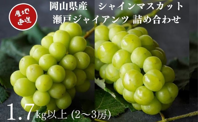 
                  厳選 シャインマスカット・瀬戸ジャイアンツ 2～3房 合計1.8kg以上 詰合せ 産地直送 朝採れ ぶどう 葡萄 Kawahara Green Farm 岡山県産2025年
                