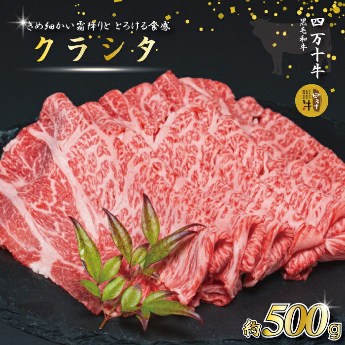 【ふるさと納税】【牧場直送】 四万十牛 クラシタ 肩ロース スライス 500g 牧場直売 肉 牛 牛肉 黒毛和牛 霜降り 和牛 国産 高知 高知県 しまんと 四万十 メス牛 ご褒美 すき焼き しゃぶしゃぶ お取り寄せ 冷凍 送料無料 25-587