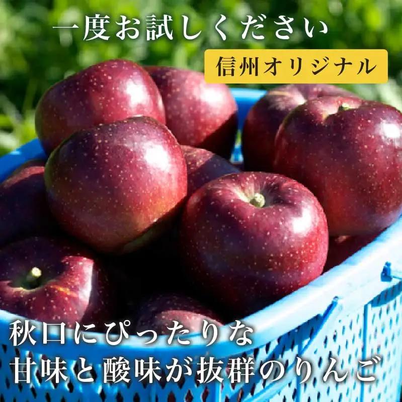 先行受付 秋映 約5kg 10～18玉 ［小布施屋］令和8年産【2026年10月発送】[A-206]