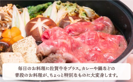 佐賀牛 ロース切り落とし450g HBH064 ロース 切り落とし 佐賀牛
