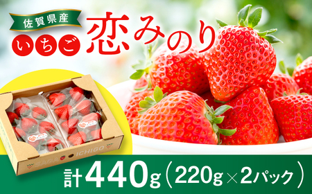 【2026年発送分 先行予約】佐賀県産いちご 恋みのり 220g×2パック / 佐賀県 / 鐘ヶ江農園 [41ASBK001]