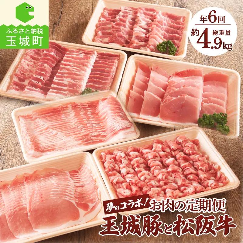 お肉の定期便 玉城豚と松阪肉の夢のコラボ！[定期便 6回 松阪牛 玉城豚 国産 すき焼き しゃぶしゃぶ ステーキ 奇数月 ふるさと味工房アグリ 朝日屋]