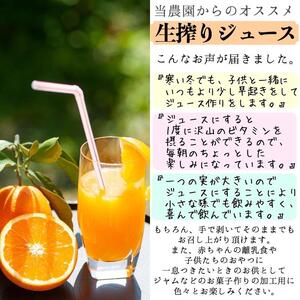 清見オレンジ10kg（大小混合）《ご家庭用》ちょっと訳あり　和歌山県より農園直送！まごころ産直みかん【北海道・沖縄県・一部離島 配送不可】訳アリ　わけあり　みかん　きよみ　清見タンゴール　清美