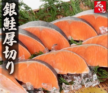 【市場食堂　花いち】銀鮭厚切り　切り身　6キロ　【11100-1916】